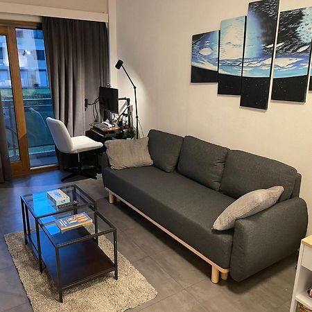 One Bedroom Fully Equipped Apartment With Terrace 布鲁塞尔 外观 照片